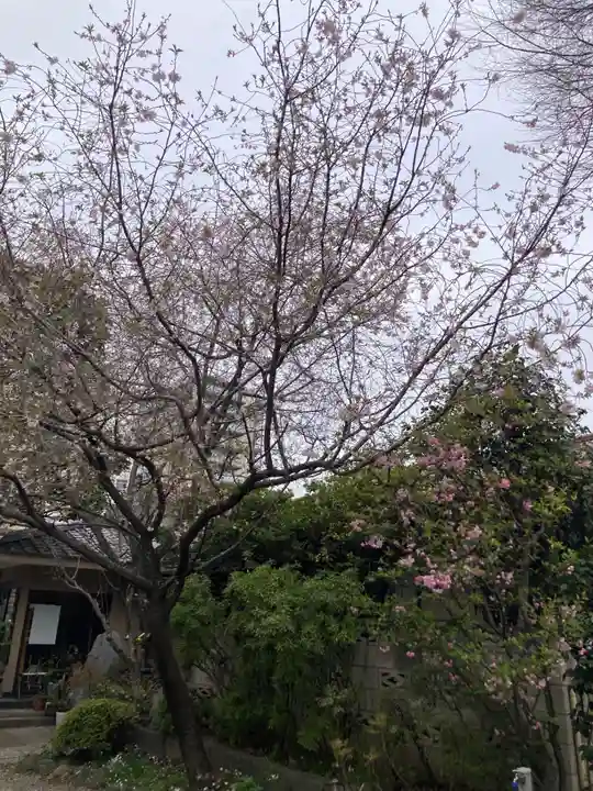 慶養寺(東京都)