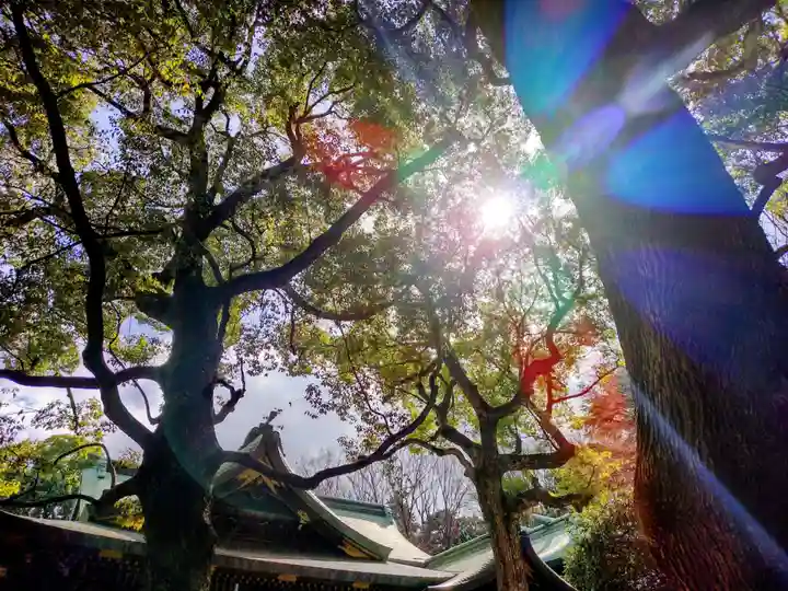 大宮八幡宮のその他建物