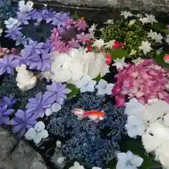 三輪神社の手水