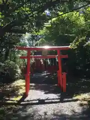 中嶋神社の鳥居