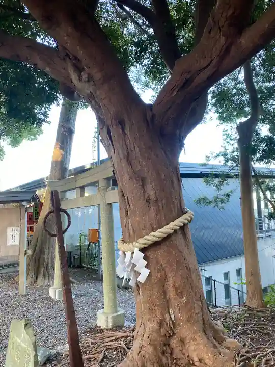 玉前神社(千葉県)