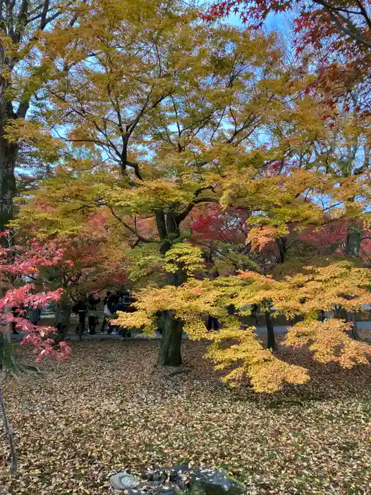 東福禅寺(東福寺)(京都府)