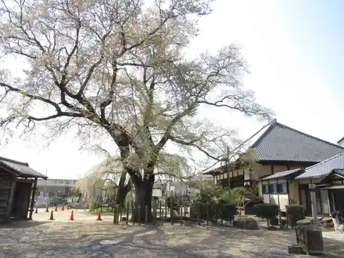 観音寺(茨城県)