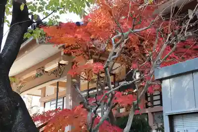 宝福寺のその他建物