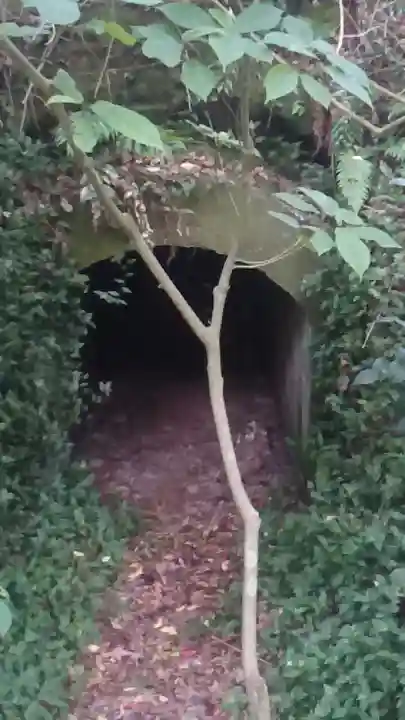 沖ノ島宇賀大明神社(千葉県)