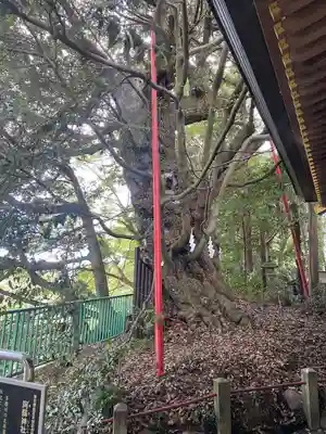 阿蘇神社(東京都)