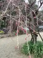 富部神社の自然