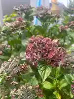 宝壽山 吉祥院(北海道)