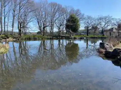 氷川女體神社の{uncategorized: "未分類", other: "その他", undefined: "問題あり", building: "その他建物", grave: "お墓", sacred_gate: "鳥居", guardian: "狛犬", statue: "像", buddha: "仏像", history: "歴史", nature: "自然", garden: "庭園", animal: "動物", pagoda: "塔", temizu: "手水舎", mountain_gate: "山門・神門", sanctuary: "本殿・本堂", subordinate: "末社・摂社", art: "芸術", scenery: "景色", jizo: "地蔵", ema: "絵馬", goshuin: "御朱印", omikuji: "おみくじ", items: "授与品その他", amulet: "お守り", goshuincho: "御朱印帳", eats: "食事", festival: "お祭り", votive_dance: "神楽", shichigosan: "七五三参", wedding: "結婚式", experience: "体験その他", initially: "初詣", around: "周辺", anti_infection: "感染症対策"}