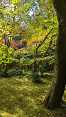 祇王寺(京都府)