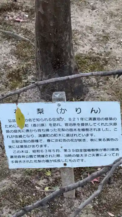 東寺(教王護国寺)(京都府)