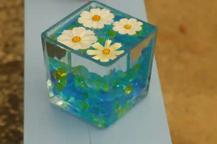 般若寺 ❁コスモス寺❁(奈良県)