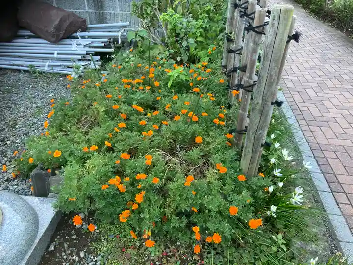 山蒼稲荷神社(神奈川県)