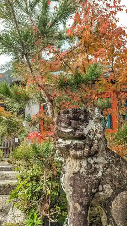 鍬山神社(京都府)