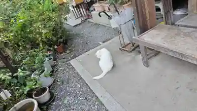 梅宮大社(京都府)