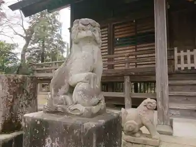 橘樹神社の狛犬