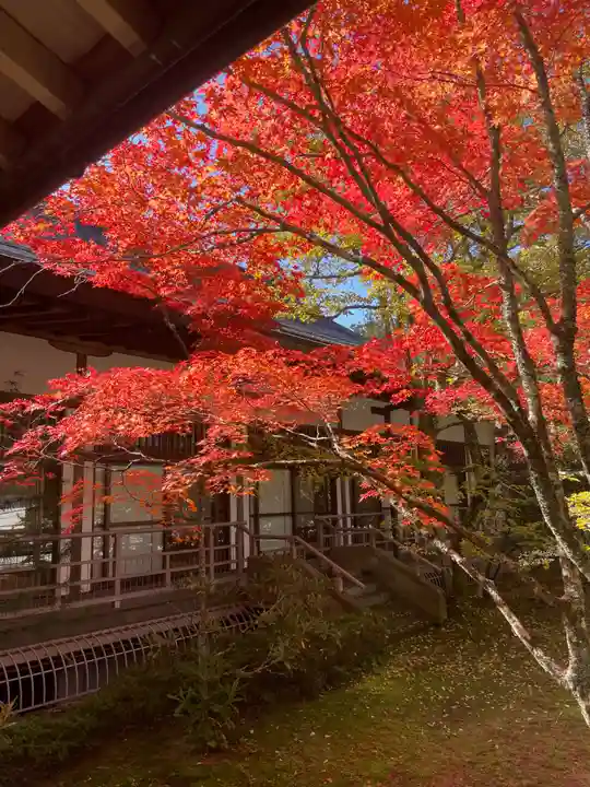 高野山金剛峯寺(和歌山県)
