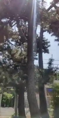 八幡神社(東京都)