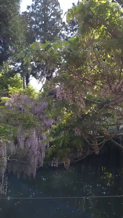 歌泉堂(春日大社神苑萬葉植物園内鎮座)(奈良県)
