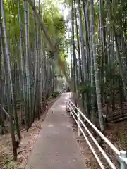 静火神社(和歌山県)