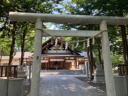 新琴似神社の鳥居