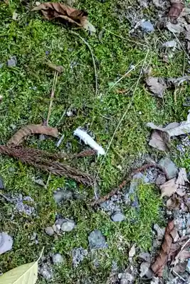 愛宕神社の動物