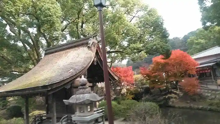 太宰府天満宮の庭園