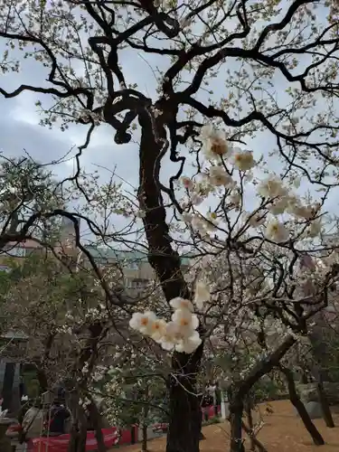 湯島天満宮(東京都)