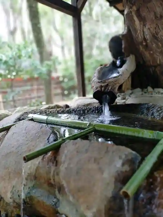 賀茂御祖神社(下鴨神社)の{uncategorized: "未分類", other: "その他", undefined: "問題あり", building: "その他建物", grave: "お墓", sacred_gate: "鳥居", guardian: "狛犬", statue: "像", buddha: "仏像", history: "歴史", nature: "自然", garden: "庭園", animal: "動物", pagoda: "塔", temizu: "手水舎", mountain_gate: "山門・神門", sanctuary: "本殿・本堂", subordinate: "末社・摂社", art: "芸術", scenery: "景色", jizo: "地蔵", ema: "絵馬", goshuin: "御朱印", omikuji: "おみくじ", items: "授与品その他", amulet: "お守り", goshuincho: "御朱印帳", eats: "食事", festival: "お祭り", votive_dance: "神楽", shichigosan: "七五三参", wedding: "結婚式", experience: "体験その他", initially: "初詣", around: "周辺", anti_infection: "感染症対策"}