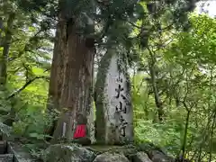 大山寺(鳥取県)