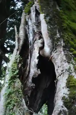 阿上三所神社(京都府)