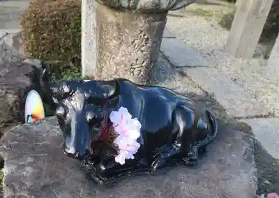 大松禅寺(京都府)