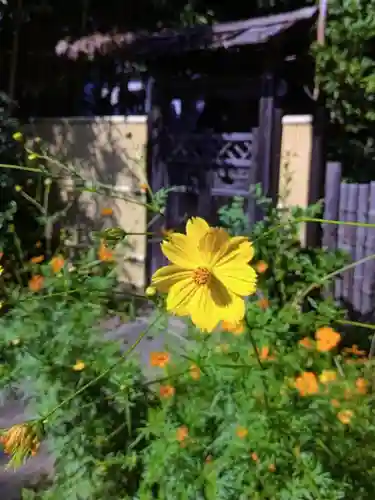 鷺宮八幡神社(東京都)