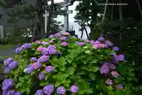 琵琶島神社(神奈川県)