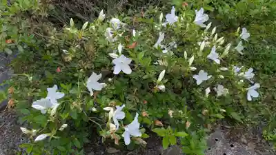 新得神社の自然