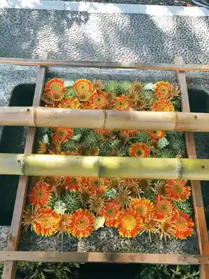 白山神社の手水舎