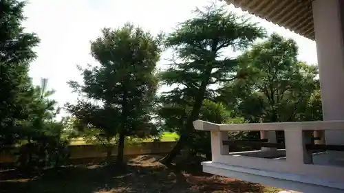 八龍社（稲島）の自然