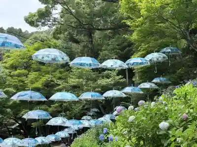 柳谷観音　楊谷寺(京都府)