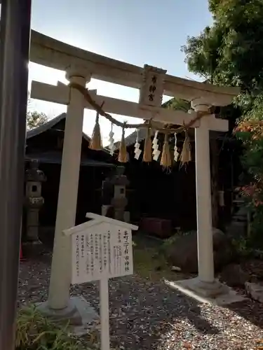 深志神社の鳥居