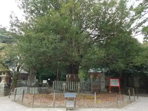 熊野速玉大社(和歌山県)