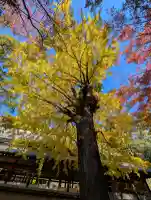 尊永寺の{uncategorized: "未分類", other: "その他", undefined: "問題あり", building: "その他建物", grave: "お墓", sacred_gate: "鳥居", guardian: "狛犬", statue: "像", buddha: "仏像", history: "歴史", nature: "自然", garden: "庭園", animal: "動物", pagoda: "塔", temizu: "手水舎", mountain_gate: "山門・神門", sanctuary: "本殿・本堂", subordinate: "末社・摂社", art: "芸術", scenery: "景色", jizo: "地蔵", ema: "絵馬", goshuin: "御朱印", omikuji: "おみくじ", items: "授与品その他", amulet: "お守り", goshuincho: "御朱印帳", eats: "食事", festival: "お祭り", votive_dance: "神楽", shichigosan: "七五三参", wedding: "結婚式", experience: "体験その他", initially: "初詣", around: "周辺", anti_infection: "感染症対策"}