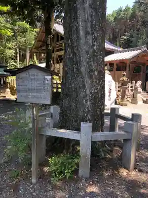 愛宕神社(阿多古神社)の歴史
