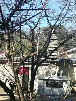 達磨寺のその他建物