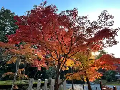 光明寺（粟生光明寺）(京都府)