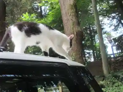 間々田八幡宮(栃木県)