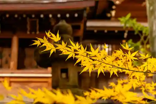 若宮八幡社(愛知県)