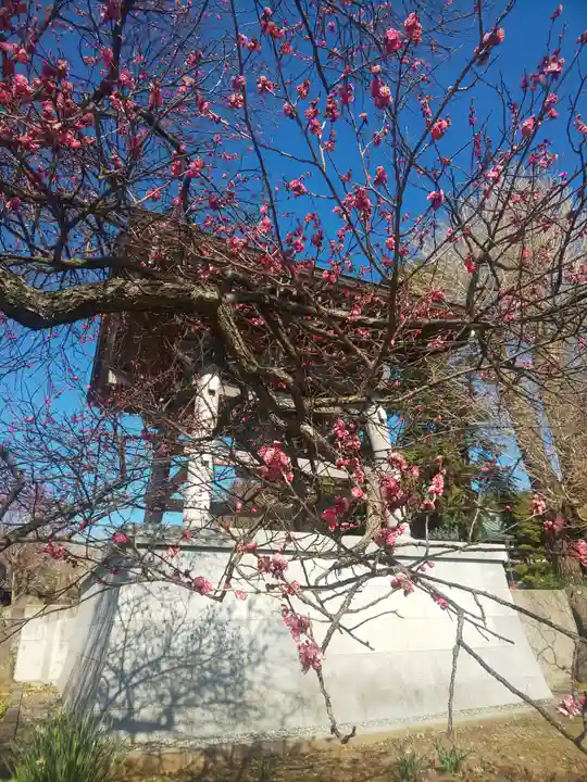 瑞雲寺のその他建物