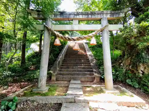 秋葉神社（金平町）の鳥居