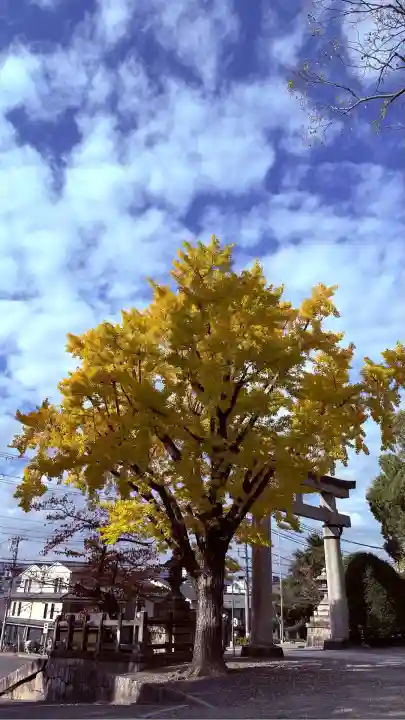 豊国神社(京都府)