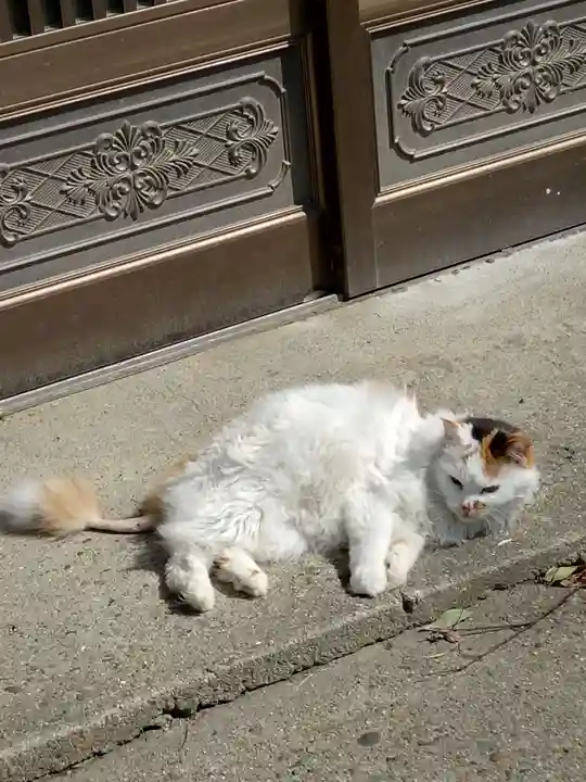 阿邪訶根神社(福島県)